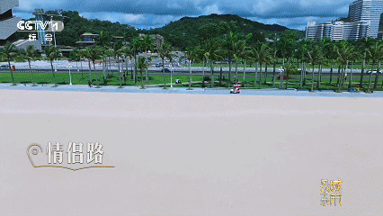 ：半城山水半城湾这里是珠海九游会J9《城市风华录》(图5)