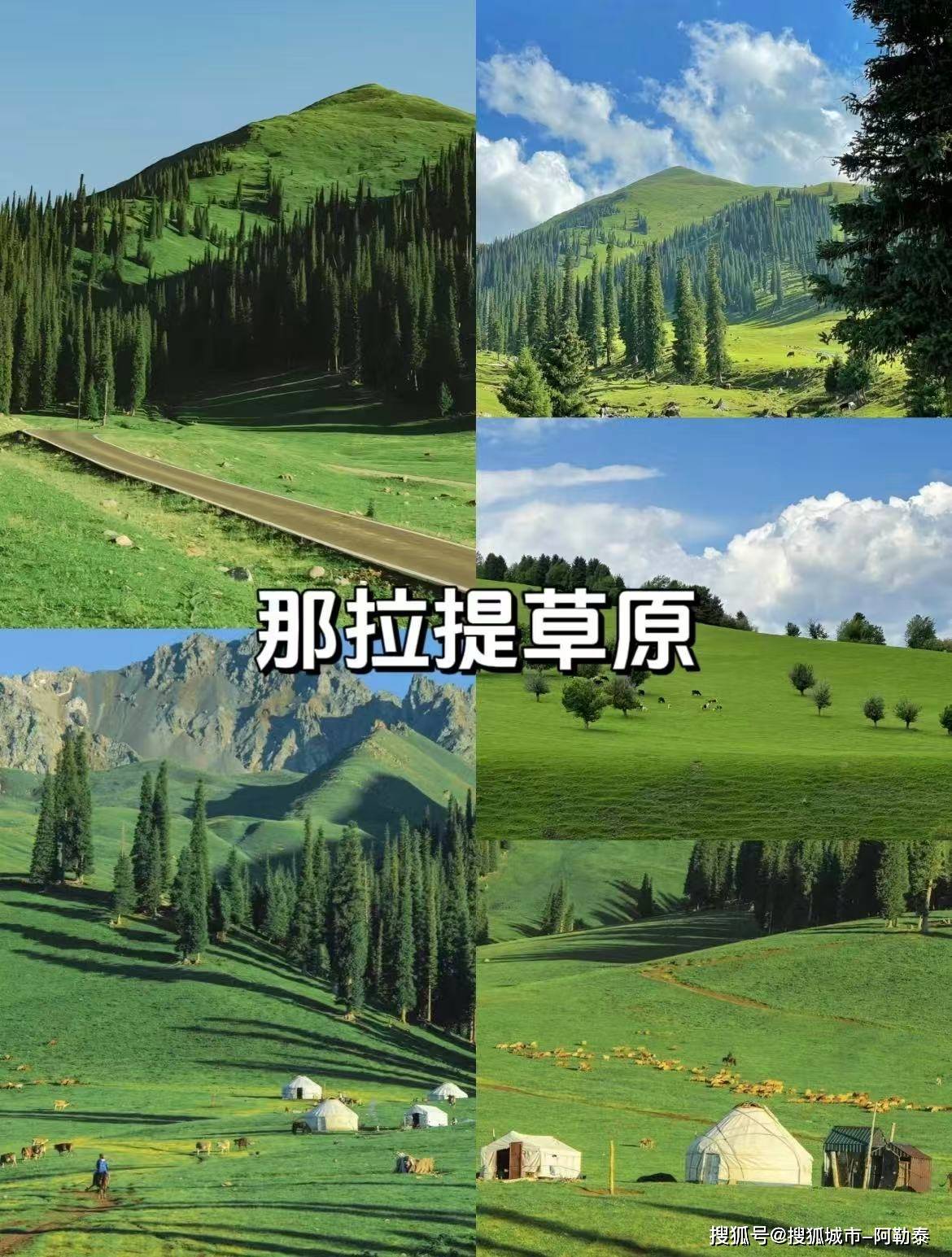 受高端旅行体验2025新疆最受欢迎的旅程J9国际集团说走就走！新疆轻奢跟团游享(图1)