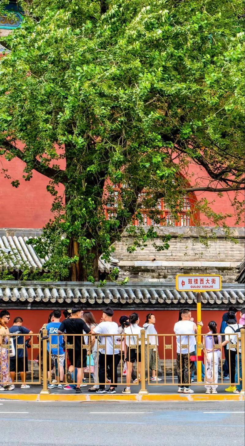 程全知道：路线规划+费用明细+避坑指南九游会2025年北京旅游团五天四晚行(图1)